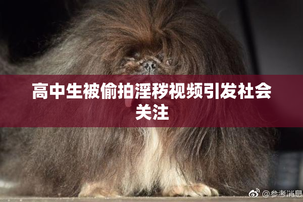 高中生被偷拍淫秽视频引发社会关注