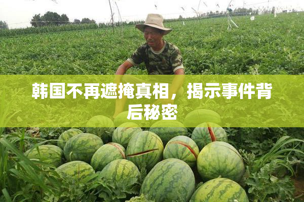 韩国不再遮掩真相，揭示事件背后秘密