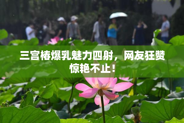 三宫椿爆乳魅力四射，网友狂赞惊艳不止！