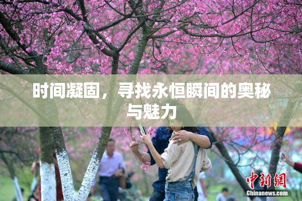 时间凝固，寻找永恒瞬间的奥秘与魅力