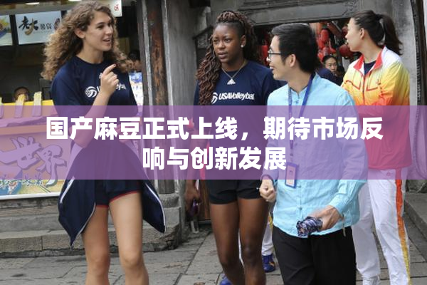 国产麻豆正式上线，期待市场反响与创新发展