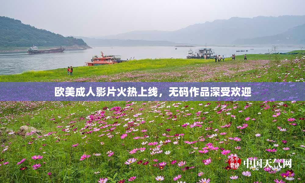 欧美成人影片火热上线，无码作品深受欢迎