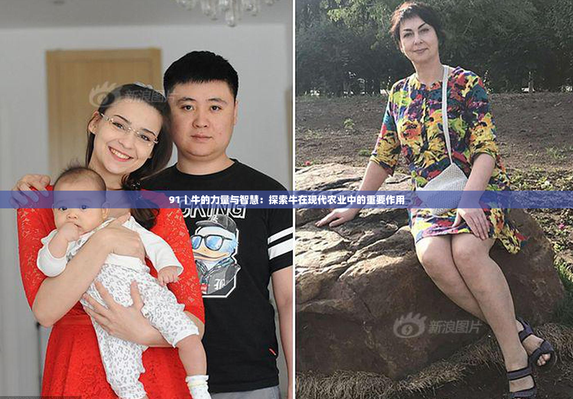 91丨牛的力量与智慧：探索牛在现代农业中的重要作用