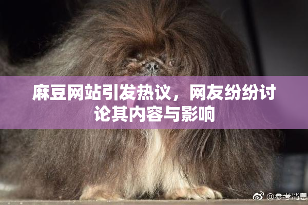 麻豆网站引发热议，网友纷纷讨论其内容与影响