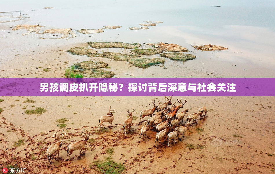 男孩调皮扒开隐秘？探讨背后深意与社会关注