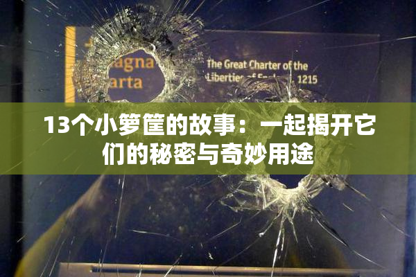 13个小箩筐的故事：一起揭开它们的秘密与奇妙用途