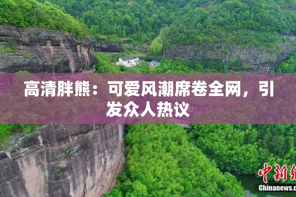 高清胖熊：可爱风潮席卷全网，引发众人热议