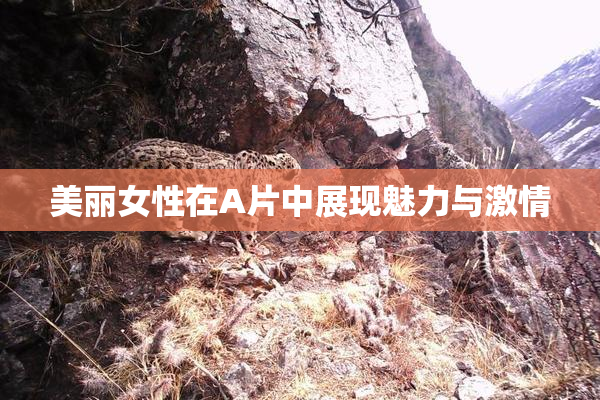 美丽女性在A片中展现魅力与激情