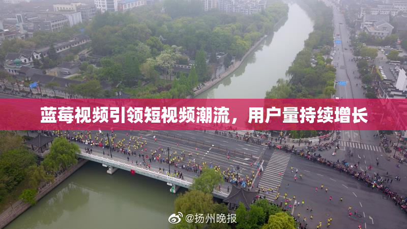 蓝莓视频引领短视频潮流，用户量持续增长
