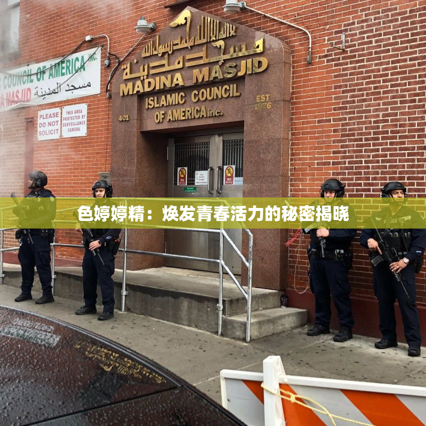 色婷婷精：焕发青春活力的秘密揭晓