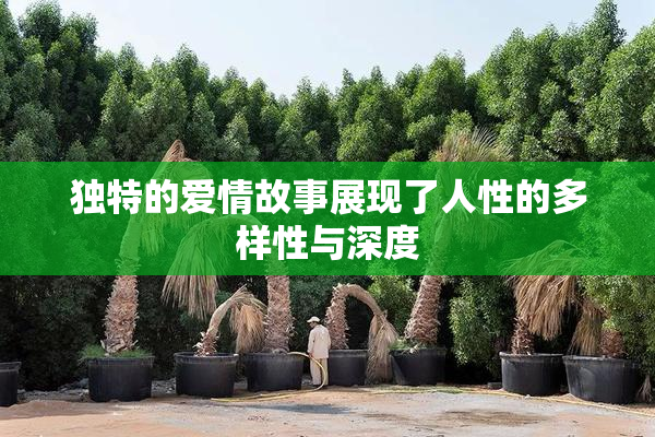 独特的爱情故事展现了人性的多样性与深度