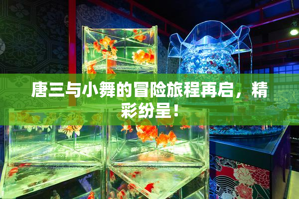唐三与小舞的冒险旅程再启，精彩纷呈！