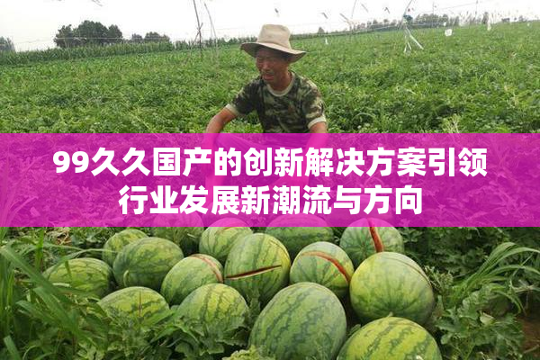 99久久国产的创新解决方案引领行业发展新潮流与方向
