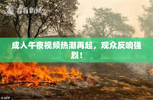 成人午夜视频热潮再起，观众反响强烈！
