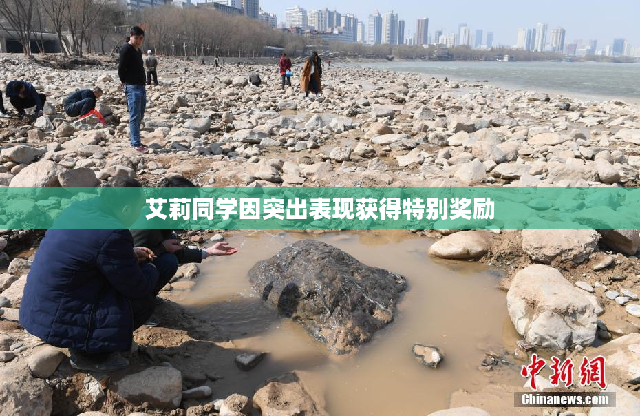艾莉同学因突出表现获得特别奖励