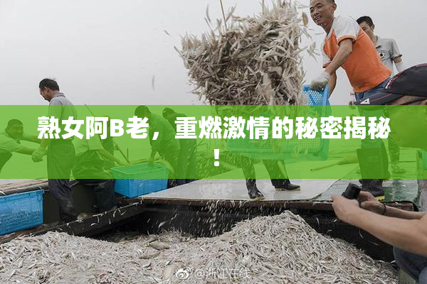 熟女阿B老，重燃激情的秘密揭秘！