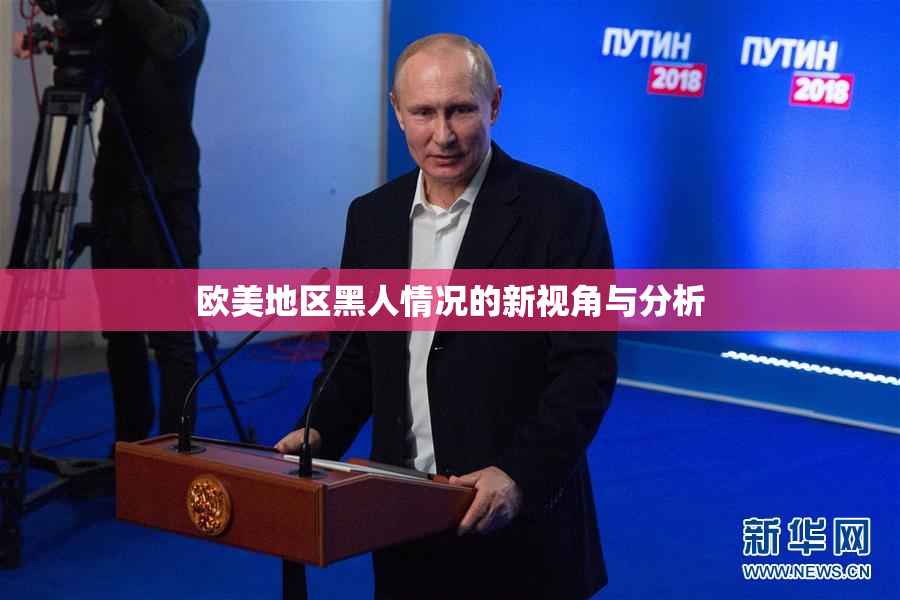 欧美地区黑人情况的新视角与分析