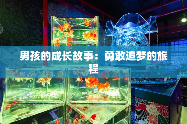 男孩的成长故事：勇敢追梦的旅程