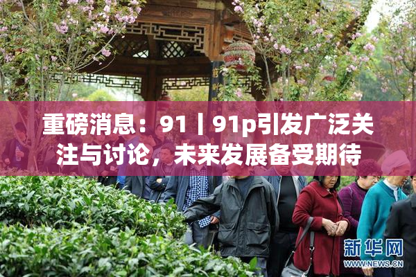 重磅消息：91丨91p引发广泛关注与讨论，未来发展备受期待
