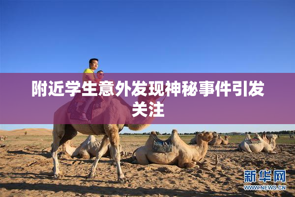 附近学生意外发现神秘事件引发关注