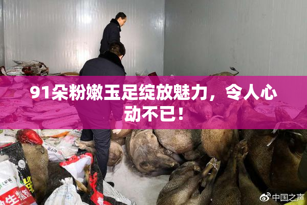 91朵粉嫩玉足绽放魅力，令人心动不已！