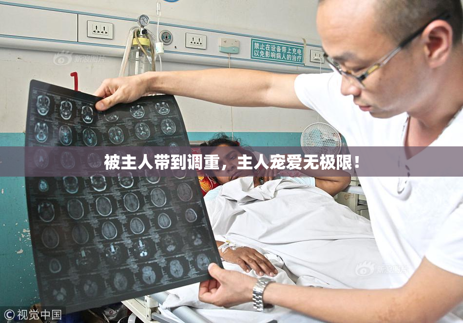 被主人带到调重，主人宠爱无极限！