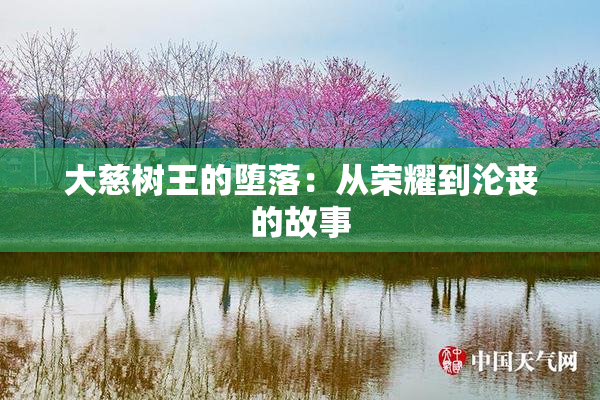大慈树王的堕落：从荣耀到沦丧的故事