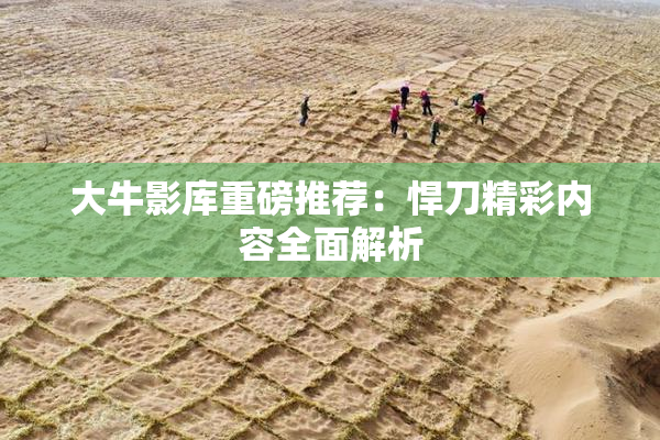 大牛影库重磅推荐：悍刀精彩内容全面解析