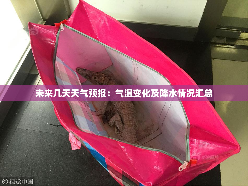 未来几天天气预报：气温变化及降水情况汇总