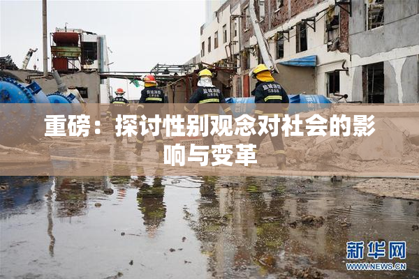 重磅：探讨性别观念对社会的影响与变革