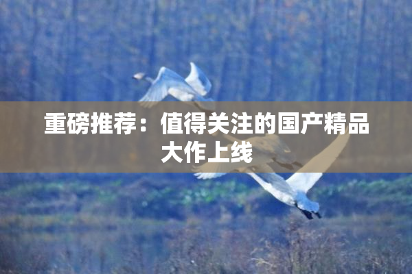 重磅推荐：值得关注的国产精品大作上线