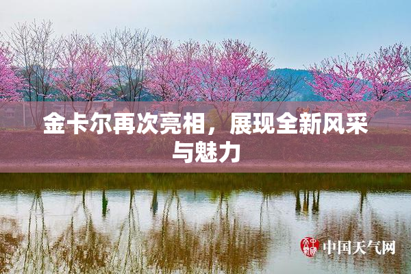 金卡尔再次亮相，展现全新风采与魅力