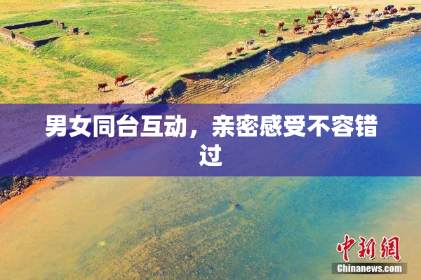 男女同台互动，亲密感受不容错过