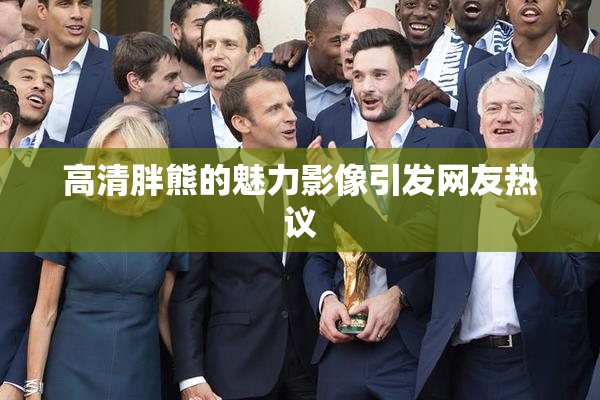 高清胖熊的魅力影像引发网友热议