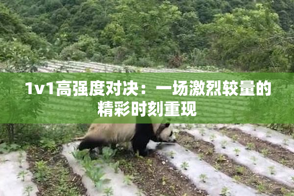 1v1高强度对决：一场激烈较量的精彩时刻重现