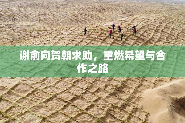 谢俞向贺朝求助，重燃希望与合作之路