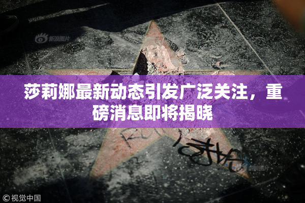 莎莉娜最新动态引发广泛关注，重磅消息即将揭晓