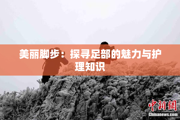 美丽脚步：探寻足部的魅力与护理知识