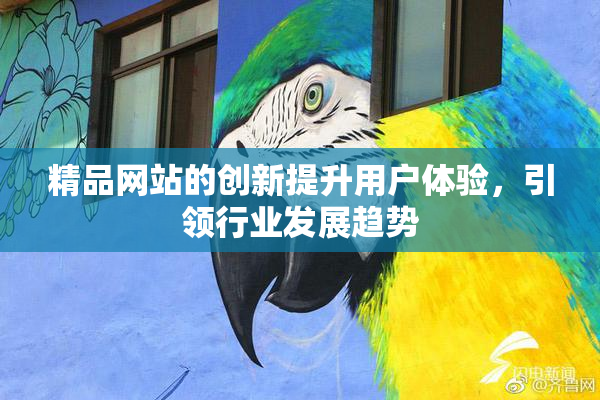 精品网站的创新提升用户体验，引领行业发展趋势