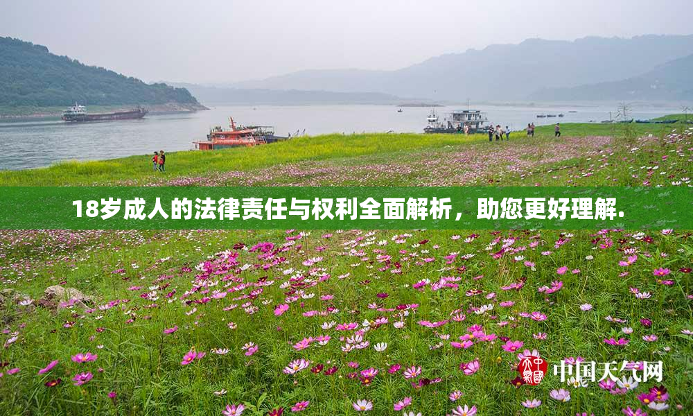 18岁成人的法律责任与权利全面解析，助您更好理解.