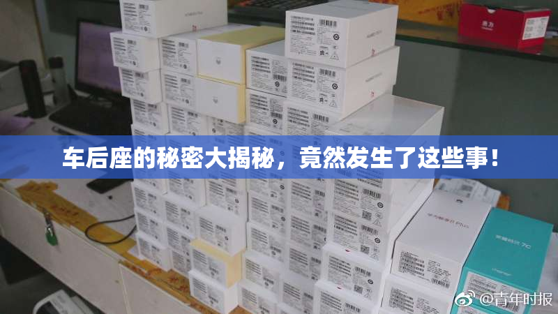 车后座的秘密大揭秘，竟然发生了这些事！