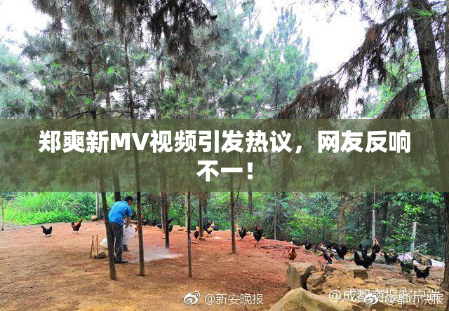 郑爽新MV视频引发热议，网友反响不一！