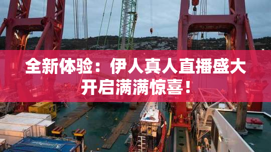 全新体验：伊人真人直播盛大开启满满惊喜！