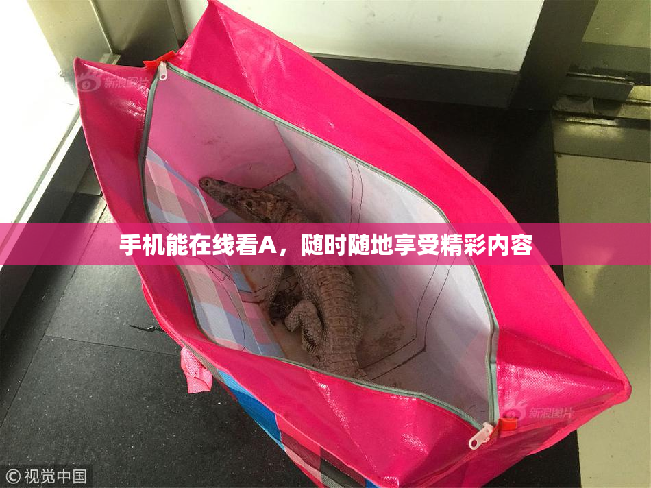 手机能在线看A，随时随地享受精彩内容