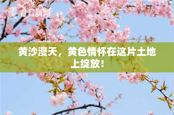 黄沙漫天，黄色情怀在这片土地上绽放！