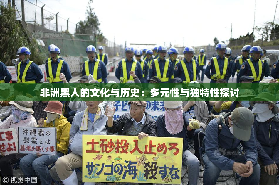 非洲黑人的文化与历史：多元性与独特性探讨