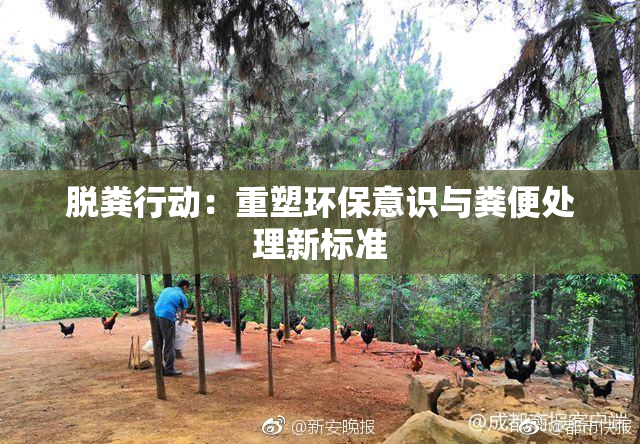 脱粪行动：重塑环保意识与粪便处理新标准