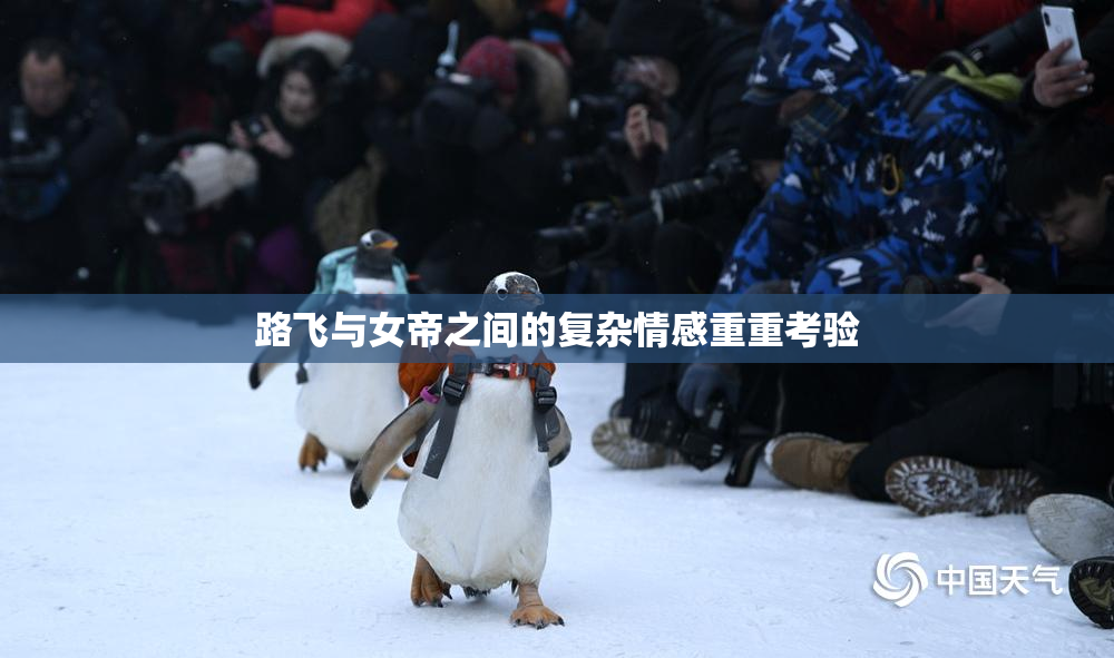 路飞与女帝之间的复杂情感重重考验