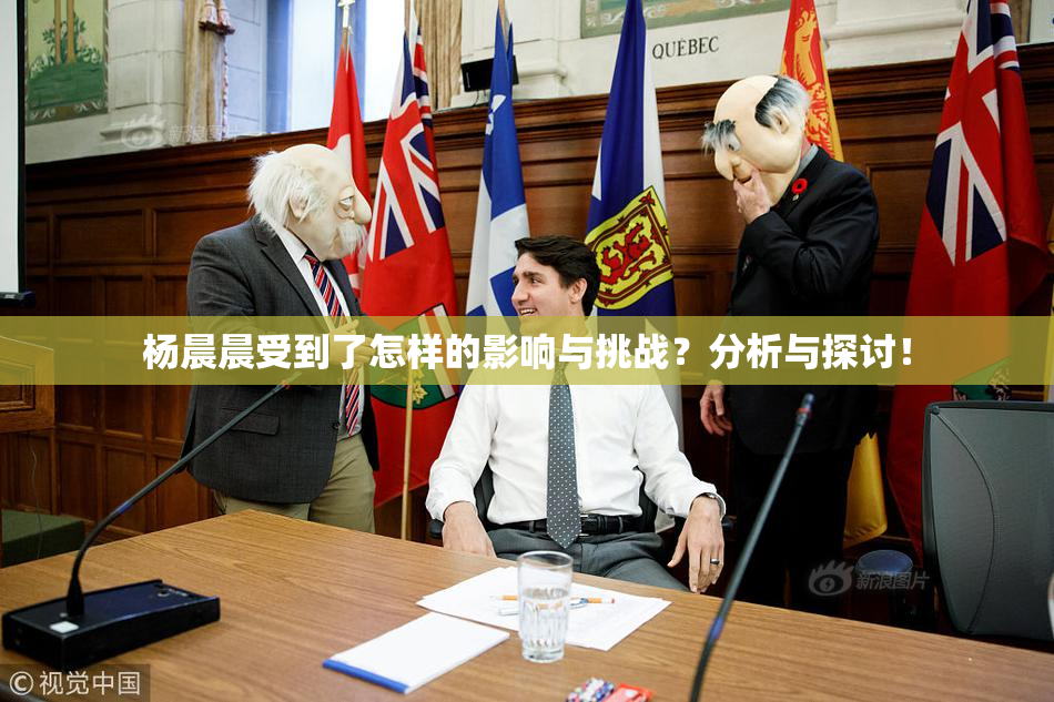 杨晨晨受到了怎样的影响与挑战？分析与探讨！