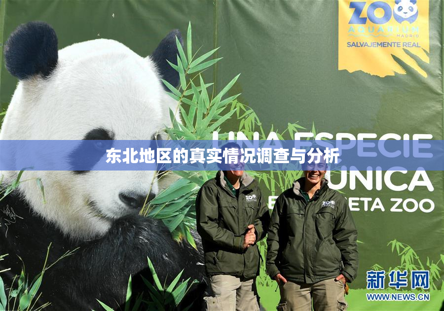 东北地区的真实情况调查与分析